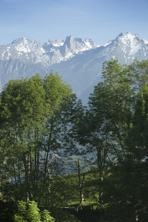 Apartamentos La Corona - Cabrales Кареня де Кабралес Екстериор снимка